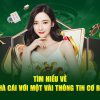 Nhà cái uy tín kwin – Nhà cái tặng cược miễn phí chơi nổ hũ